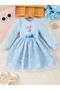 Girl's Graphic Print Puff Sleeve A-line Mesh Dress