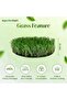 , Artificial Grass Carpet - Green Brown, 26mm - 2
