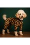 Small Breed Leopard Detailed Winter Dog Jumpsuit Dog Outfit (1-10kg) - 4