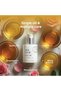 Mfm Nutra Age Stop Reju Oil (Nourishing & Revitalizing Oil) – 30 ml - 7