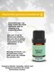 Chamomile (German) Essential Oil (Matricaria Recutita) 5 Ml. - 2