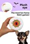 Halloween Themed Dog Toy Set |   Squeaky Plush Slippers, Plush Spider and Eye Play Ball - 7