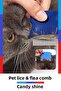 Cat Dog Pet Lice Flea Comb Iron Needle Toothed Comb
