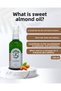 Sweet Almond Oil – 100% Pure, Cold-Pressed, Natural Moisture Support for Skin and Hair 100 ml - 2