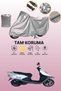 Gray Tail Bag and Lock Mismatched Kuba Raden 100 Compatible Motorcycle Tarpaulin