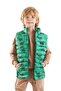 Kids Boy Dino Printed Trendy Inflatable Vest Ak216061 - 4
