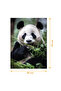 PANDA PUZZLE 200 PARÇA - 2