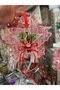 Santa Claus - Silver Star Mini Hooded Tree Ornament - 6