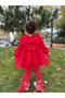 Baby Girl Long Sleeve Bow Rose Birthday Party Wedding Special Occasion Formal Dress for Girls - 2