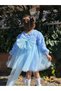Baby Girl Long Sleeve Bow Rose Birthday Party Wedding Special Occasion Formal Dress for Girls