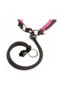 AGILA FLUO 1 Harness FOR DOG (26-38cm X 15mm) - 5