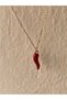 Yellow Steel Necklace Designed with a Red Pepper Symbol - the Meeting of Luck, Abundance, and Elegance 47 cm - 6