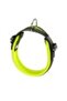 Dog Collar With Soft Padding Green (M) - 4