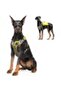 Dog Harness – Yellow (XL) - 6
