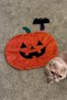 Halloween Themed Cat Toy Set |   Squeaky Bat, Pumpkin Cushion, and Spider Cat Fishing Rod - 3