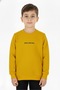 Boy's Back Printed Sweatshirt 2 Thread Raised Embossed