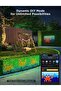 Outdoor Net Lights - 2