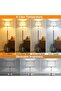 Modern Floor Lamp with Remote & App Control, Dimmable, 3000K-6500K (Black & Gold) - 2