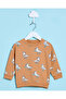 Infant Boys Beige Printed Sweatshirt