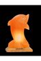 Himalayan Salt Lamp - Dolphin Shape GH-CSL-016 - 2