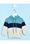 Infant Boys Beige Hooded Sweatshirt