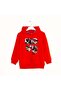 Oranj Boy's Hooded Sweatshirt 6-16 Years - 2