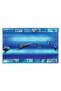 Mapa de birou Delfin 55x35cm - 2