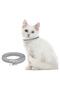 Cat Flea and Tick Repellent Collar 38 cm - 2