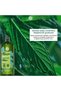 Purifying Shampoo Against Dandruff 300 ml Fresh Mint Pomegranate Extract Does Not Contain Sls Sles Vegan Care - 5