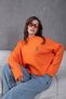 Oversized Teddy Bear Detailed Mock Neck Knitwear Sweater Aw25Kz0073 - 2