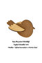 Wooden Bird Painting Activity - Wooden Bird Design - Set of 10 Wooden Birds - 4