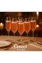 Comer Set of 6 Pink Champagne Glasses – Crystal Glass, 195 Cc for Special Occasions & Celebrations