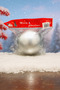 Silver Matte Christmas Tree Ornament 12 cm Single Large Matte Christmas Ball Eng-149 - 5