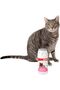 Cat Litter Deodorizer Natural Eco Friendly Fragrance Free, 425 g (White/Maroon) 6970117120363 - 4
