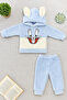 Baby Boy Welsoft Hooded Rabbit Embroidered Tracksuit Set - 2