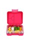 - Elite Mini 4 Compartment Leakproof Lunchbox - Lovable Koala - 4