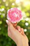 Sabun Gül Kutusu Pink Gift Decorative Handmade - 5