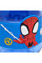 Spider-Man Print Sipper Water Bottle - 800 ml - 7