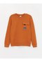 Lcw Kids Brown Crew Neck Long Sleeve Boys T-Shirt