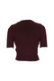 Women's Woolen Burgundy Crew Neck Short Sleeve Sequin Embroidered Sparkly Stylish Crop Knit Sweater - 4