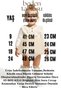 Baby Girl Romper Girls' Romper Birthday Party Wedding Dress Tulle Long Sleeve Romper - 2