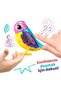 شاشة عرض SIL 88620 Digibirds، حزمة فردية، سلسلة 2، مجموعة متنوعة من 8 شاشات - 2