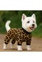 Small Breed Leopard Detailed Winter Dog Jumpsuit Dog Outfit (1-10kg) - 5