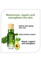 Centella Moisturizing Repair Herbal Eye Cream and Serum Set 2 Pieces - 7
