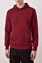 Burgundy Regular/Normal Cut Hooded Textured Sweatshirt Tmnaw26Sw00068 - 3