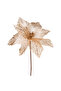 New Year's Flower, Champagne - 30 cm