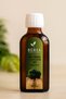 Natural Sidr Leaf Oil 100 ml |   Arabian Cherry Herbal Anti-Hair Loss and Skin Care Oil - 2