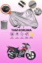 Gray Rear Bag Compatible Arora Ar 185-20 Storm Compatible Motor Tarpaulin, Protective Cover