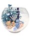 Terrarium Aquarium Glass Jar Mother Baby Newborn Gift Welcome Baby Boy - 2