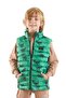 Kids Boy Dino Printed Trendy Inflatable Vest Ak216061 - 3